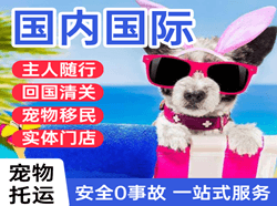 阜阳机场快递国际宠物托运 【国
